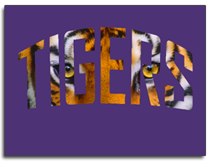 Tiger_Print.png