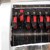 image1.gif
