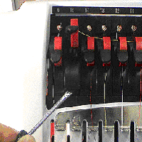image2.gif