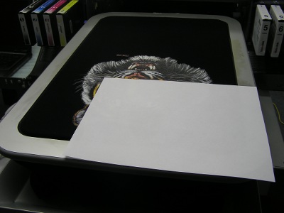 Transparency Position for Nozzle Check nozzle_check_prep.JPG
