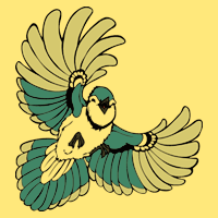 cl_jay_yellow.png