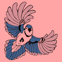 cl_jay_pink.png