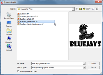 import_graphic_window.png