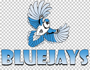 jay_trans_background.png