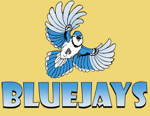 jay_yellow_background.png