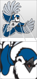 bluejay_pixel_zoom.png
