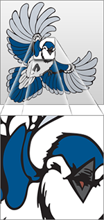bluejay_vector_zoom.png