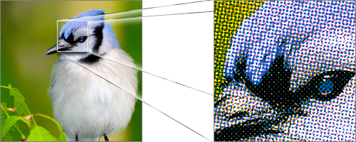 process_zoom.png