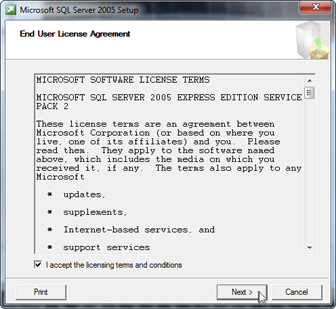 SQL Server License Agreement