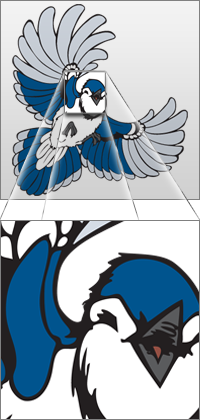 bluejay_vector_zoom.png